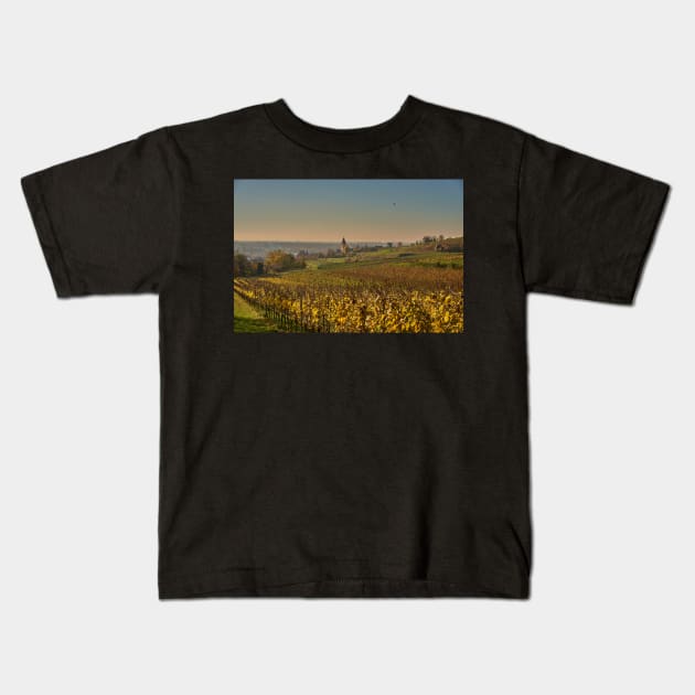 Burkheim village. Kaiserstuhl Kids T-Shirt by mbangert